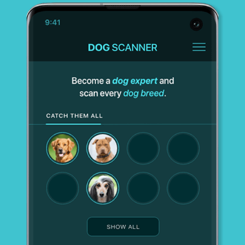 Dog Scanner: Breed Recognition