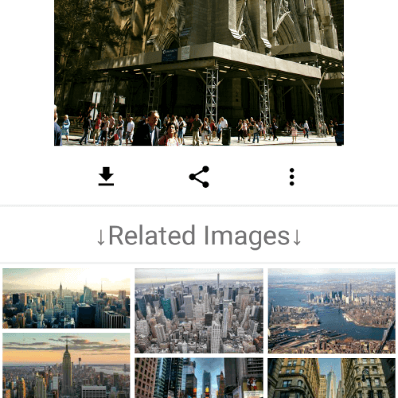 ImageSearchMan – Image Search